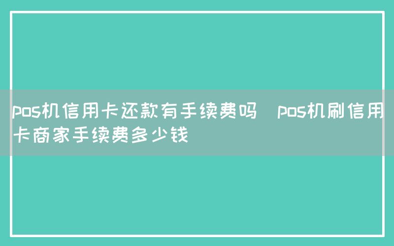 pos机信用卡还款有手续费吗(pos机刷信用卡商家手续费多少钱)