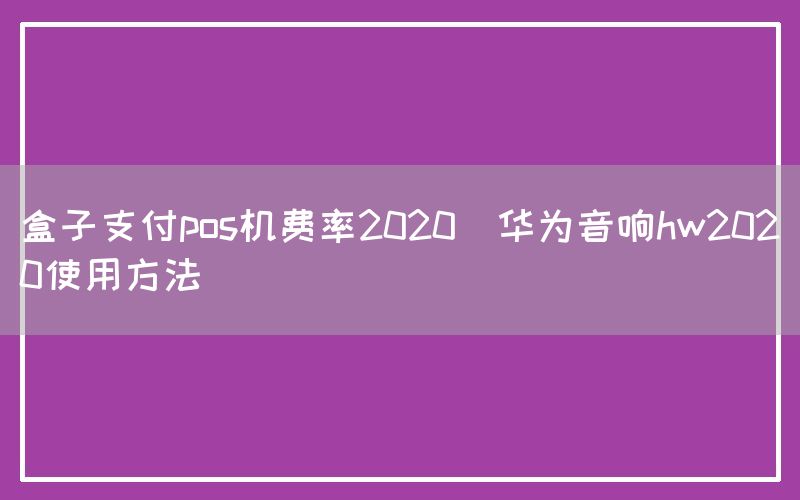 盒子支付pos机费率2020(华为音响hw2020使用方法)