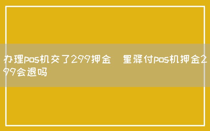 办理pos机交了299押金(星驿付pos机押金299会退吗)