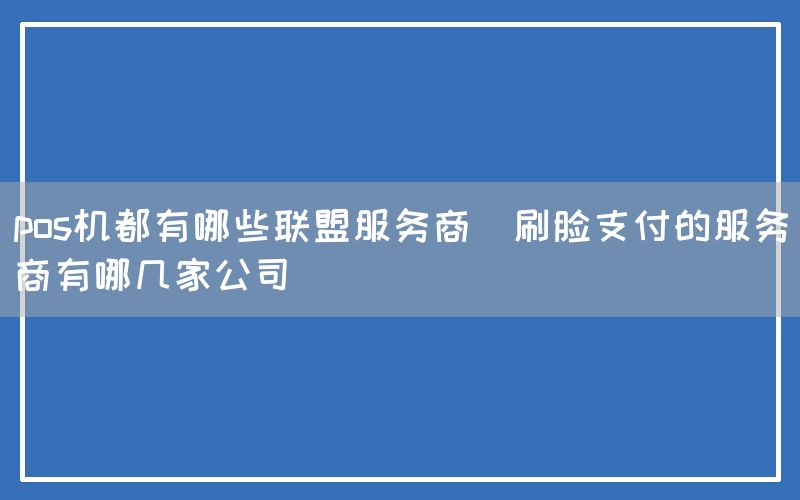 pos机都有哪些联盟服务商(刷脸支付的服务商有哪几家公司)