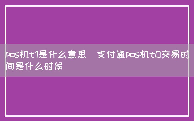 pos机t1是什么意思(支付通pos机t0交易时间是什么时候)