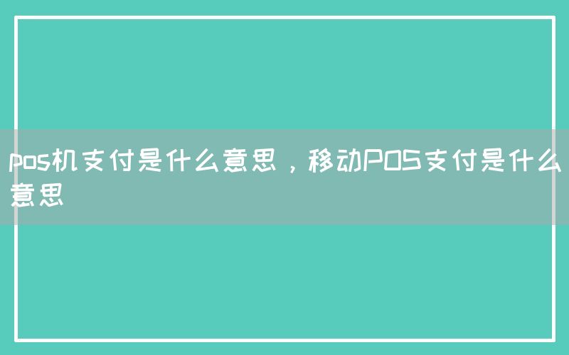 pos机支付是什么意思，移动POS支付是什么意思