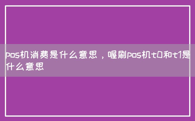 pos机消费是什么意思，喔刷pos机t0和t1是什么意思