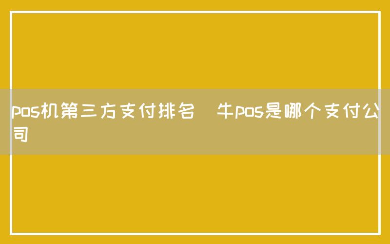 pos机第三方支付排名(牛pos是哪个支付公司)