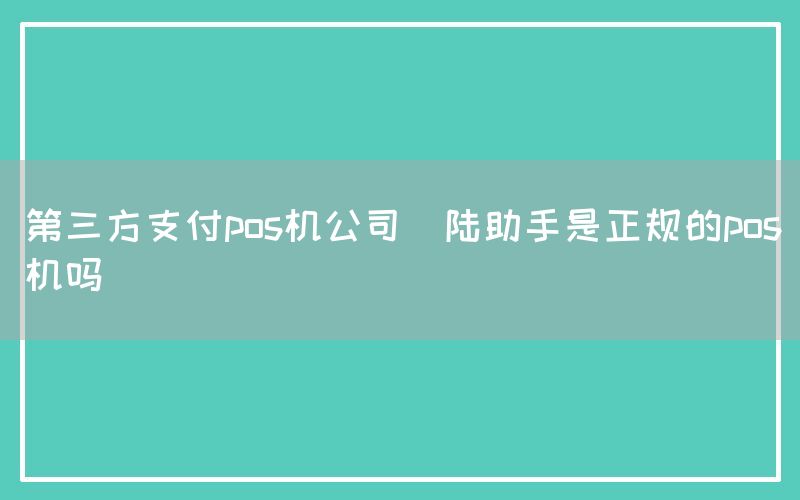 第三方支付pos机公司(陆助手是正规的pos机吗)