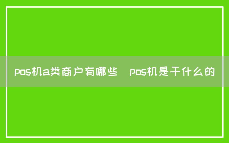 pos机a类商户有哪些(pos机是干什么的)