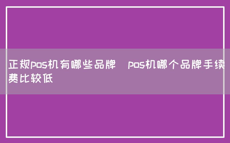 正规pos机有哪些品牌(pos机哪个品牌手续费比较低)