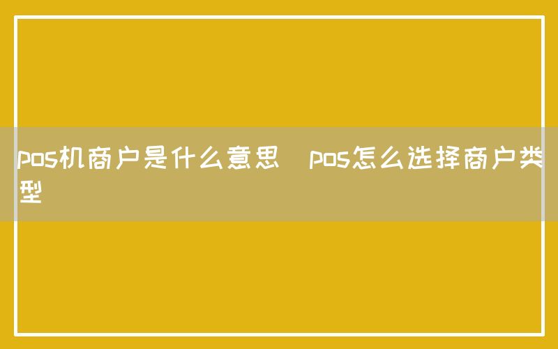 pos机商户是什么意思(pos怎么选择商户类型)