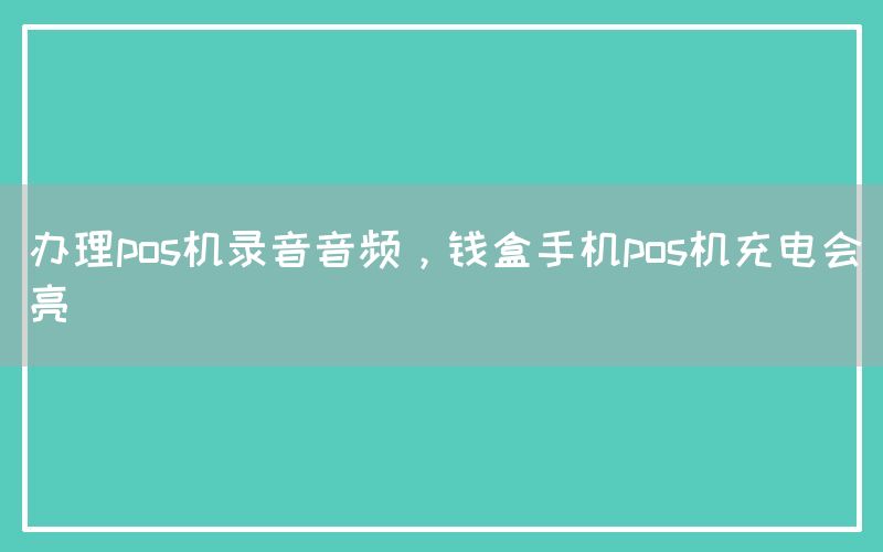 办理pos机录音音频，钱盒手机pos机充电会亮