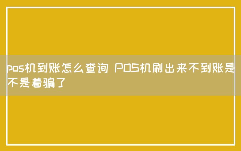 pos机到账怎么查询 POS机刷出来不到账是不是着骗了(图1)