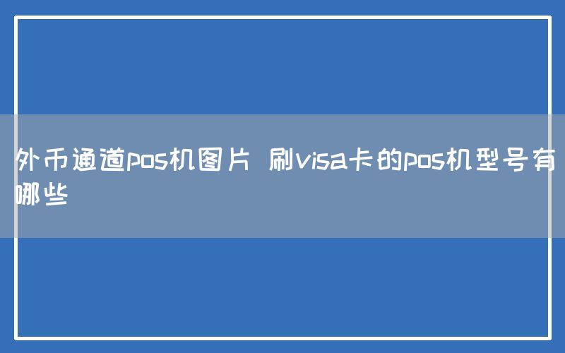 外币通道pos机图片 刷visa卡的pos机型号有哪些