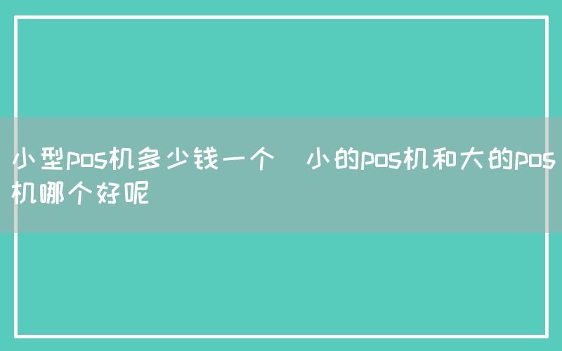 小型pos机多少钱一个(小的pos机和大的pos机哪个好呢)