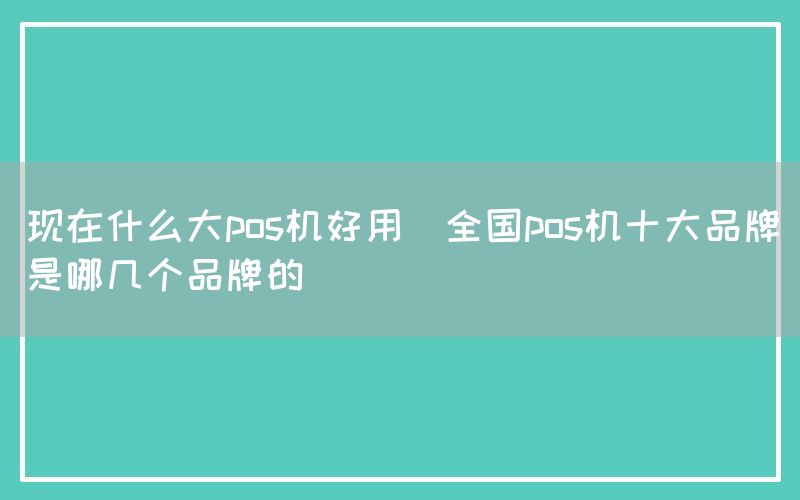 现在什么大pos机好用(全国pos机十大品牌是哪几个品牌的)