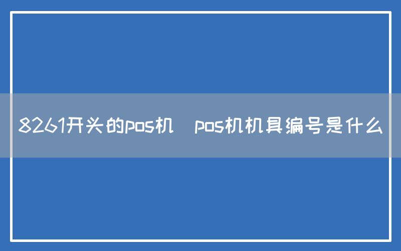 8261开头的pos机(pos机机具编号是什么)(图1)