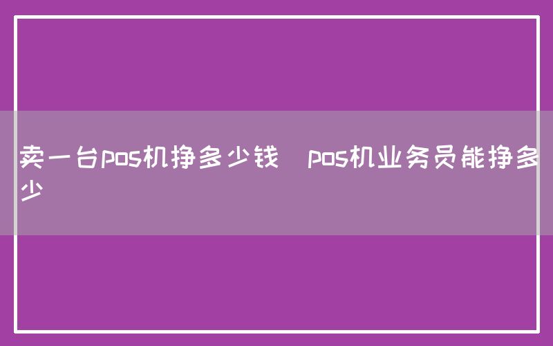 卖一台pos机挣多少钱(pos机业务员能挣多少)