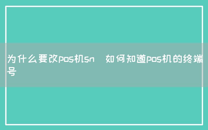 为什么要改pos机sn(如何知道pos机的终端号)