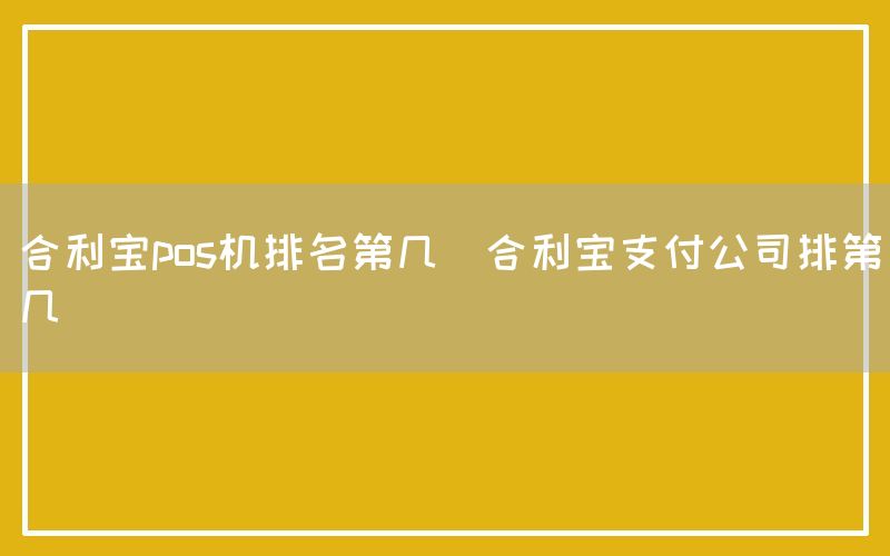 合利宝pos机排名第几(合利宝支付公司排第几)