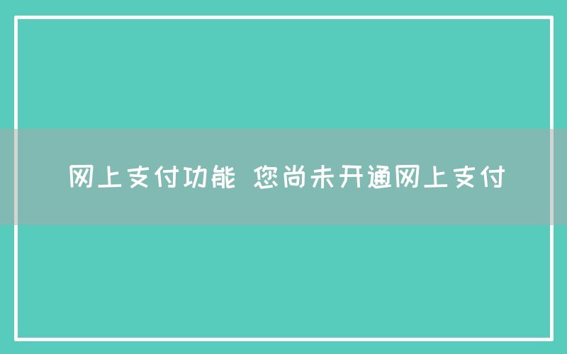 网上支付功能 您尚未开通网上支付