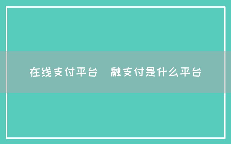 在线支付平台(融支付是什么平台)