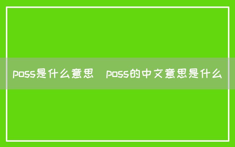 poss是什么意思(poss的中文意思是什么)