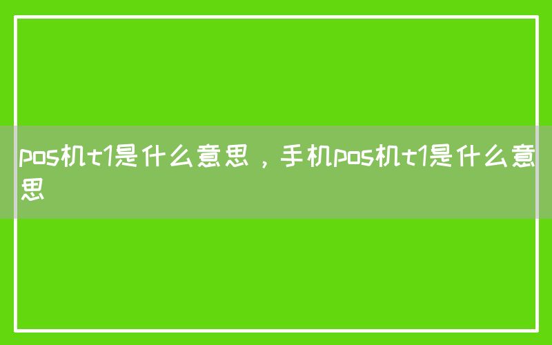 pos机t1是什么意思，手机pos机t1是什么意思