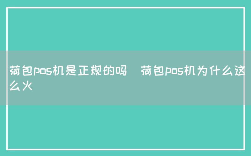 荷包pos机是正规的吗(荷包pos机为什么这么火)