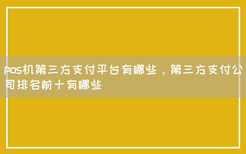 pos机第三方支付平台有哪些，第三方支付公司排名前十有哪些