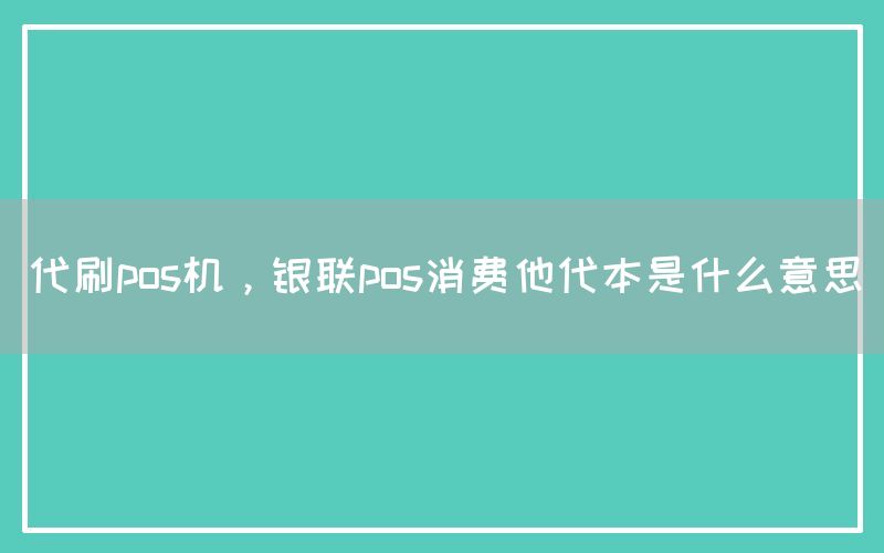 代刷pos机，银联pos消费他代本是什么意思(图1)