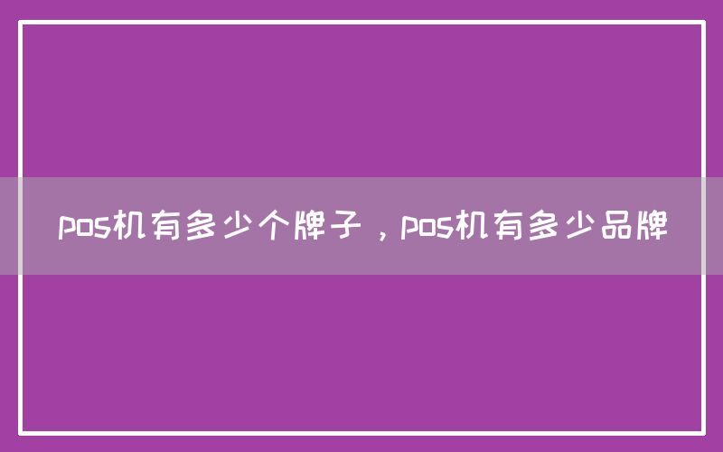 pos机有多少个牌子，pos机有多少品牌