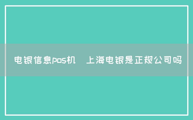 电银信息pos机(上海电银是正规公司吗)