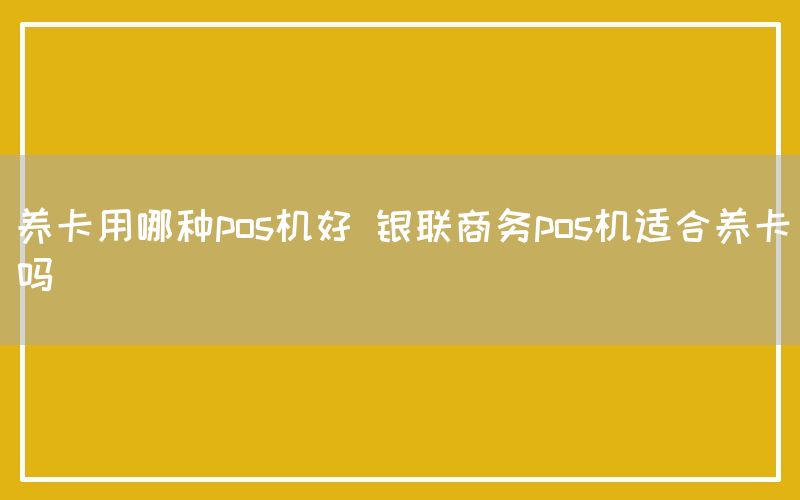 养卡用哪种pos机好 银联商务pos机适合养卡吗